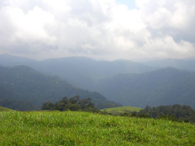 Kerala_31.10.2005_093.JPG, 154 KB