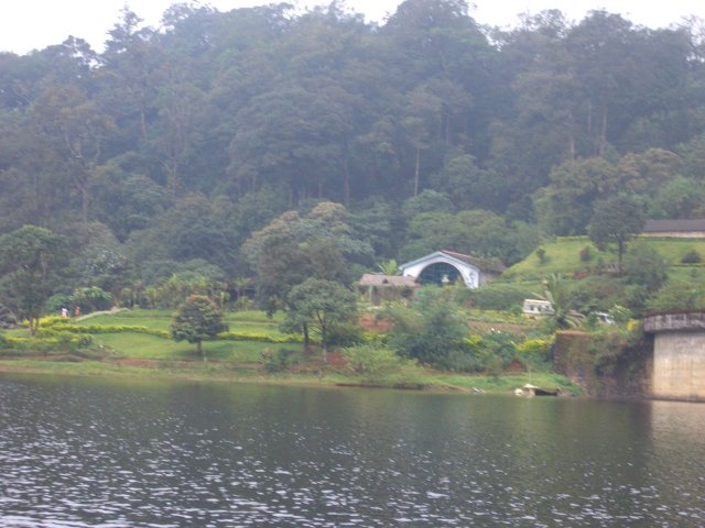 Kerala_31.10.2005_111.JPG, 176 KB