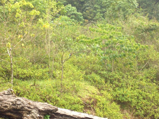 Kerala_31.10.2005_114.JPG, 319 KB