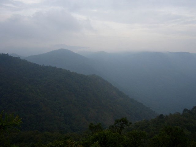 Kerala_31.10.2005_121.JPG, 80 KB