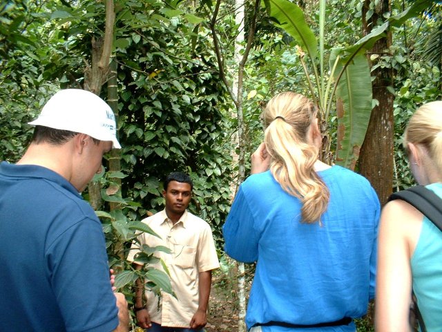 Kerala_31.10.2005_140.JPG, 272 KB