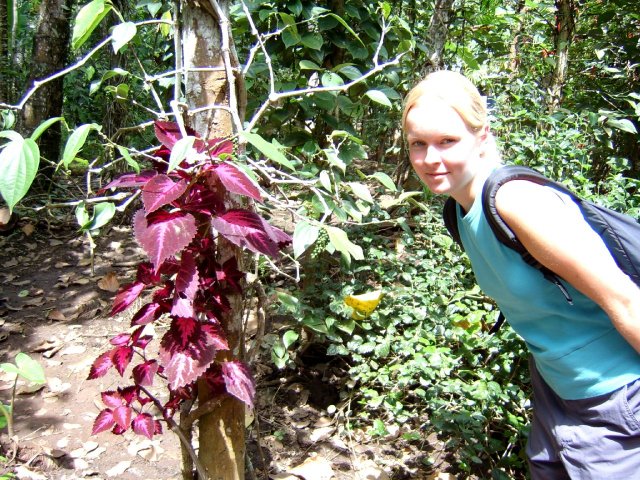 Kerala_31.10.2005_144.JPG, 370 KB