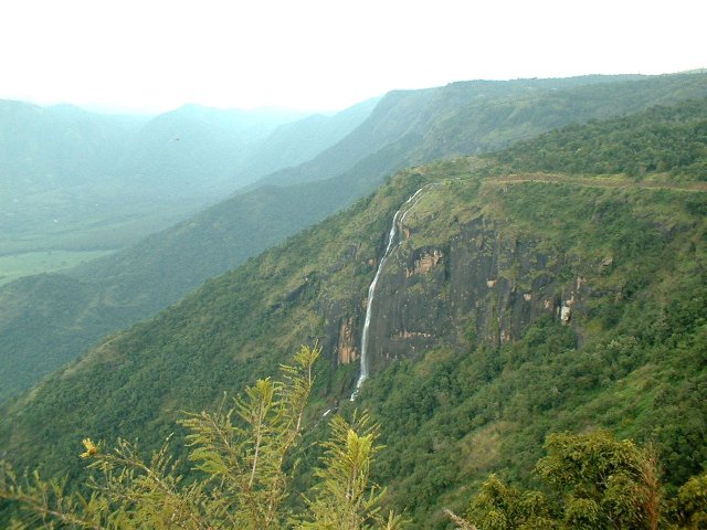 Kerala_31.10.2005_149.JPG, 229 KB