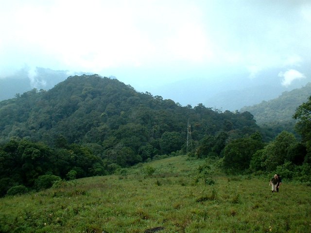 Kerala_31.10.2005_172.JPG, 193 KB