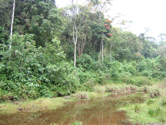 Kerala_31.10.2005_174.JPG, 353 KB