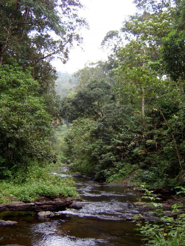 Kerala_31.10.2005_180.JPG, 352 KB