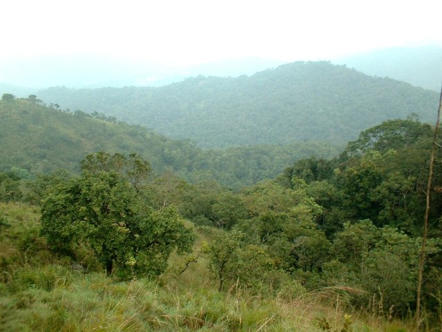 Kerala_31.10.2005_191.JPG, 220 KB