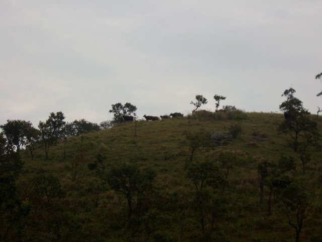 Kerala_31.10.2005_196.JPG, 104 KB
