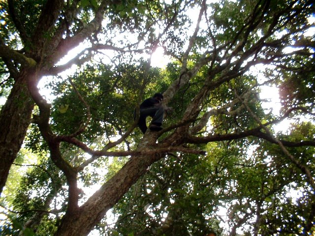 Kerala_31.10.2005_198.JPG, 327 KB