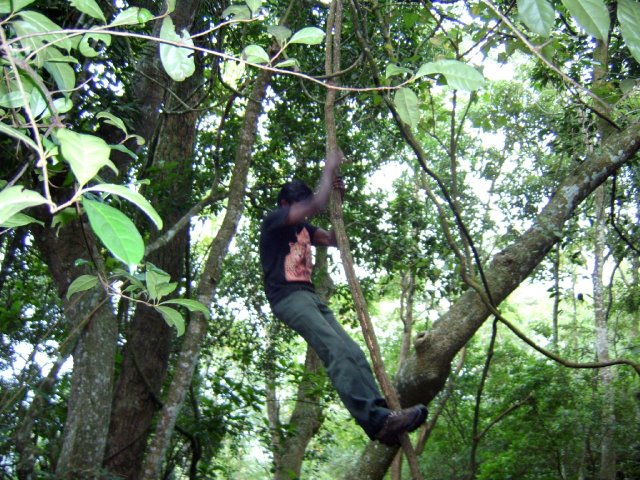 Kerala_31.10.2005_200.JPG, 313 KB