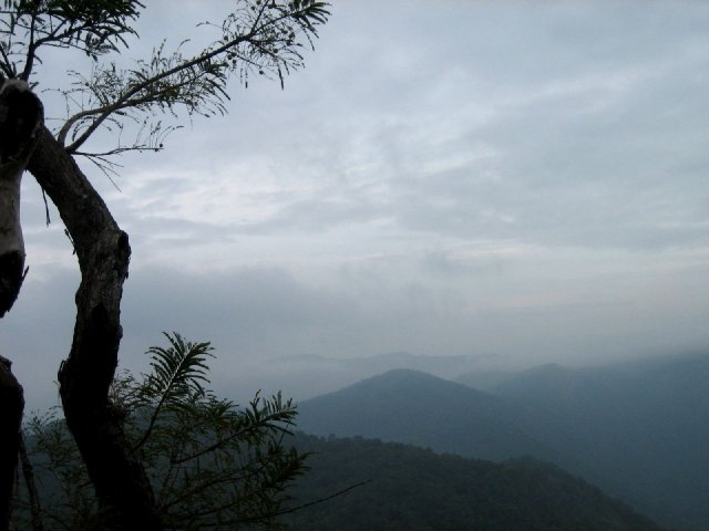 Kerala_31.10.2005_204.JPG, 109 KB