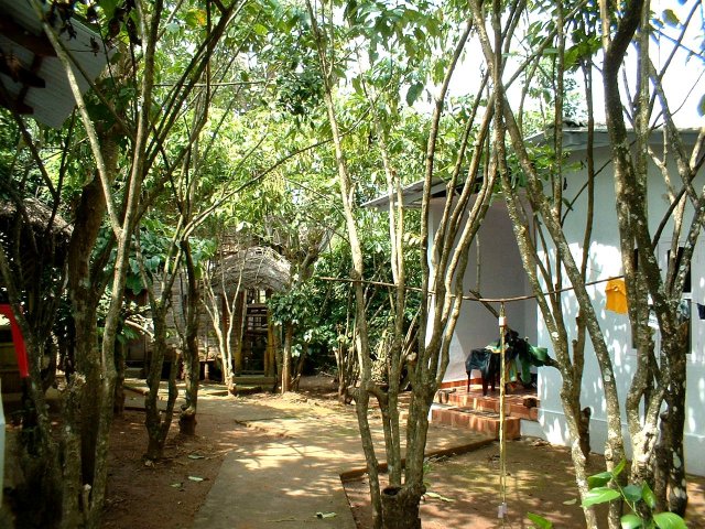 Kerala_31.10.2005_210.JPG, 368 KB